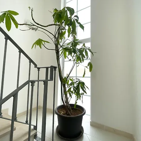 Villa Costa Sem Stress